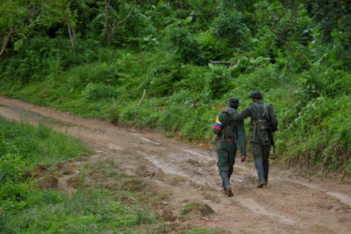 FARC pide a antiguas tropas guerrilleras no retormar las armas