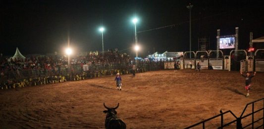 Indígenas y vaqueros en el 'far west' amazónico de Brasil