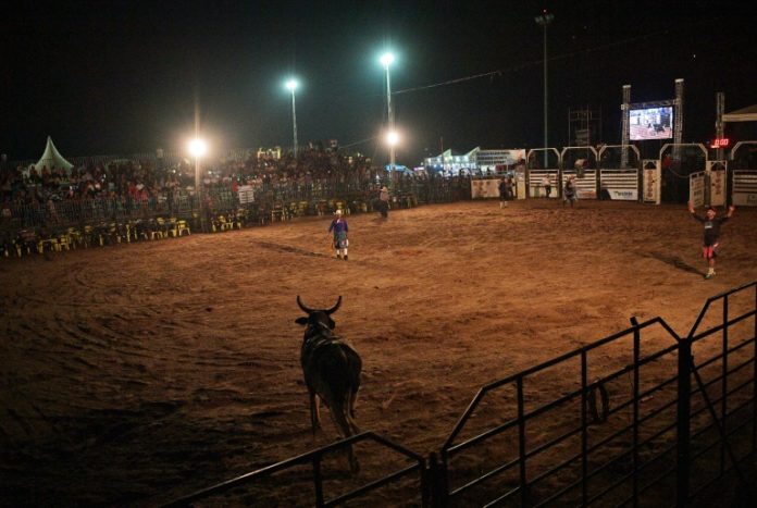 Indígenas y vaqueros en el 'far west' amazónico de Brasil