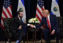 Trump y Bukele, una reunión entre "amigos" en la ONU
