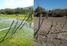 La sequía se agiganta y golpea duro el centro de Chile