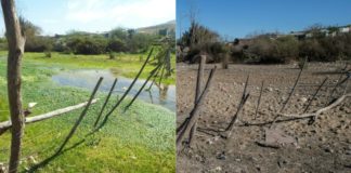 La sequía se agiganta y golpea duro el centro de Chile