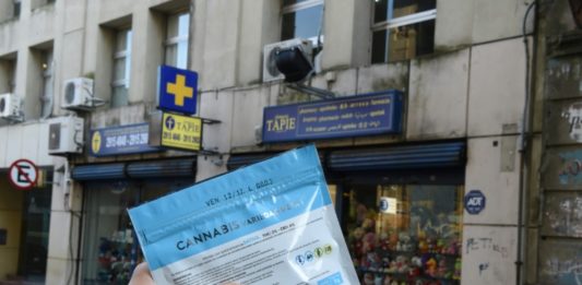 Consumo de cannabis ilegal baja en Uruguay tras regulación del mercado