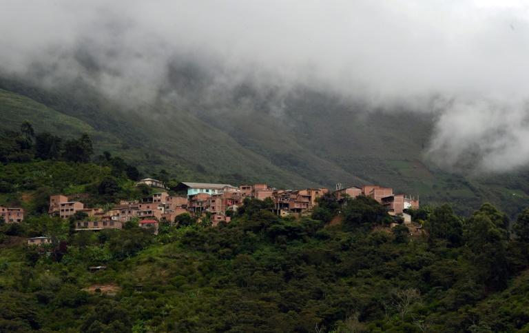 Cocaleros Bolivia