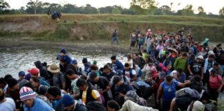 Fuerzas mexicanas detienen a 800 de migrantes de la caravana 2020