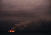 Humo de los incendios forestales de Australia llegó a Brasil