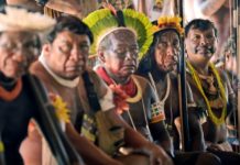 Los indígenas de Brasil, una realidad múltiple con una historia común