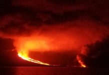Volcán La Cumbre erupciona en una isla deshabitada de Galápagos en Ecuador
