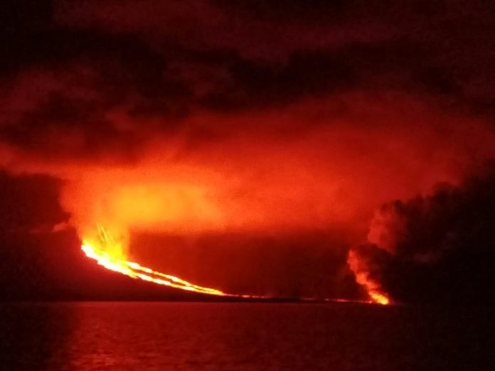 Volcán La Cumbre erupciona en una isla deshabitada de Galápagos en Ecuador