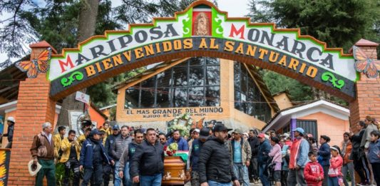 Asesinan a defensor de mariposas monarcas, el segundo en México en menos de una semana