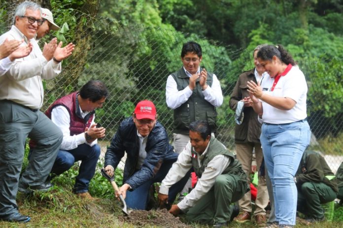 Foto publicada por la Presidencia peruana del mandatario Martín Vizcarra (C) plantando un árbol en el complejo arqueológico de Machu Picchu, la fortaleza inca enclavada en el sureste de los Andes del Perú, cerca de Cuzco, el 9 de enero de 2020. © PRESIDENCIA DEL PERU/AFP HO