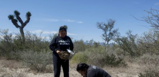 En México, una madre busca a su hijo con un dron en posible "lugar de exterminio"