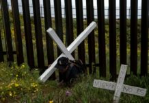 Iglesias de México, Honduras y Guatemala piden detener deportaciones por coronavirus