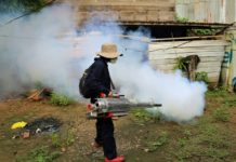 Coronavirus y dengue, una mezcla explosiva en la Amazonía peruana