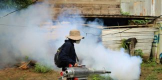 Coronavirus y dengue, una mezcla explosiva en la Amazonía peruana