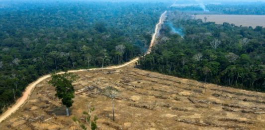 Nuevo récord de deforestación en la Amazonia brasileña