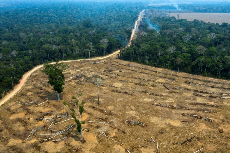 Nuevo récord de deforestación en la Amazonia brasileña