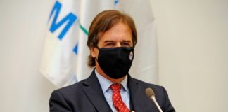 Uruguay renegocia acuerdo con empresa finlandesa para megaplanta de celulosa