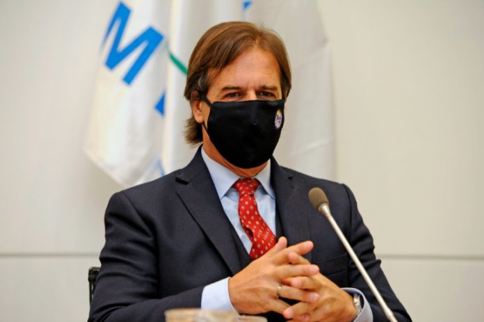 Uruguay renegocia acuerdo con empresa finlandesa para megaplanta de celulosa