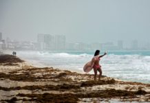 Polvo del Sahara propiciará reproducción de sargazo que afecta playas mexicanas