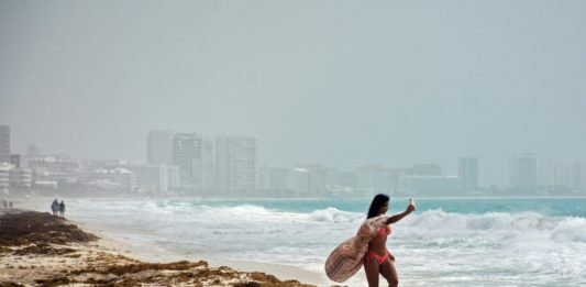 Polvo del Sahara propiciará reproducción de sargazo que afecta playas mexicanas