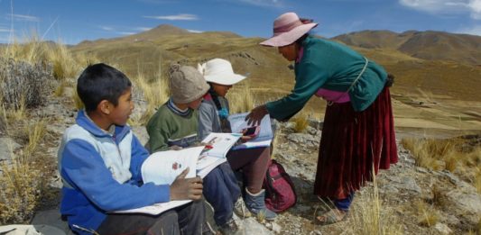 Alumnos andinos peruanos reciben clases virtuales en un cerro