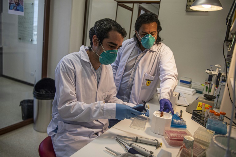 Científicos peruanos buscan producir en masa un test rápido de covid-19