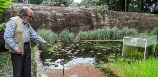 El encierro laborioso de un botánico colombiano en su inmenso jardín durante la pandemia