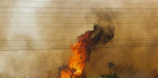 Los incendios se triplican en el Pantanal brasileño