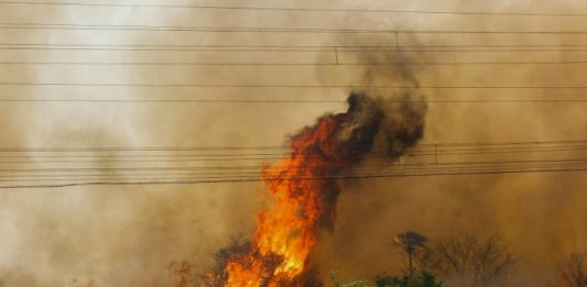 Los incendios se triplican en el Pantanal brasileño