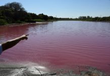 Autoridades de Paraguay investigan causas de lago teñido de rojo