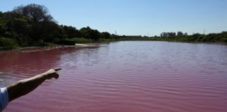 Autoridades de Paraguay investigan causas de lago teñido de rojo