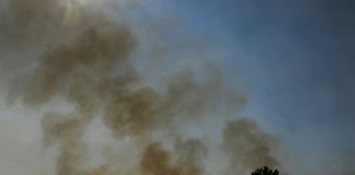 Investigación destaca impacto de incendios en la salud indígena