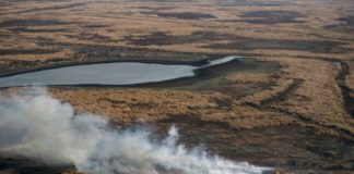 La biodiversidad del Delta del Paraná, amenazada por incendios históricos