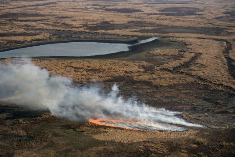 La biodiversidad del Delta del Paraná, amenazada por incendios históricos