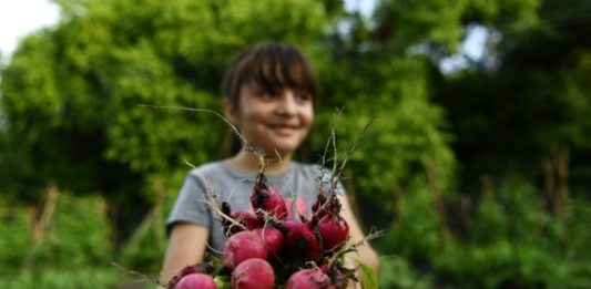 Niños salvadoreños cultivan huertos para sobrevivir a la pandemia