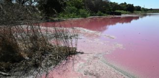 Una curtiembre tiñó de rojo un lago en Paraguay
