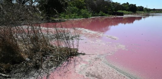 Una curtiembre tiñó de rojo un lago en Paraguay