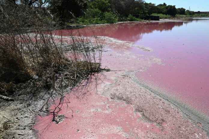 Una curtiembre tiñó de rojo un lago en Paraguay Una curtiembre tiñó de rojo un lago en Paraguay
