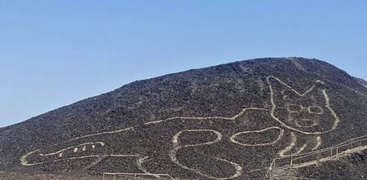 Descubren nueva figura en Líneas de Nasca en Perú