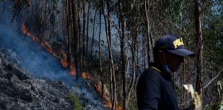 Extinguen incendio forestal cercano a zona arqueológica en Perú