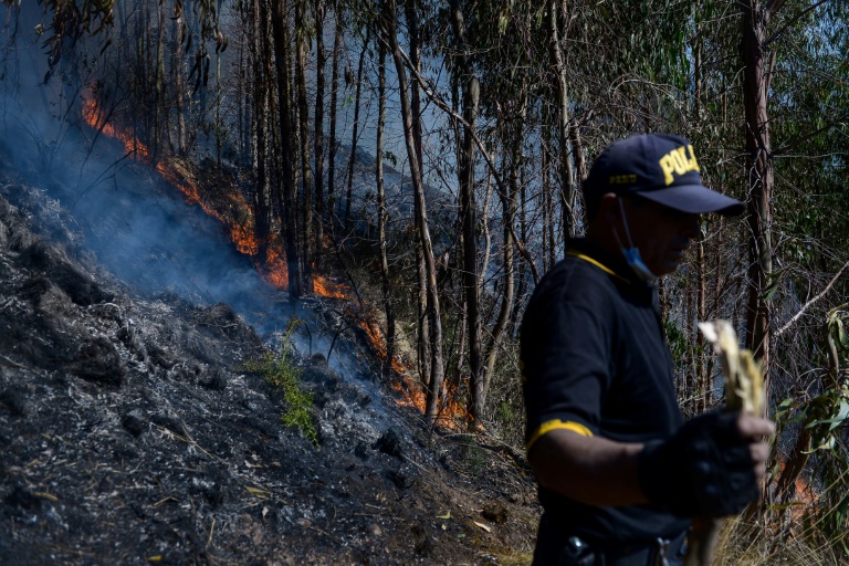 Extinguen incendio forestal cercano a zona arqueológica en Perú
