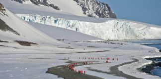 Península Antártica registra su año más caluroso en tres décadas