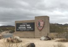 Recorriendo los parques nacionales en Estados Unidos