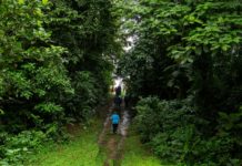 Turistas de Costa Rica compensan huella de carbono con aporte a economía verde