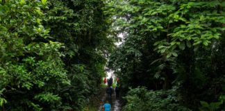 Turistas de Costa Rica compensan huella de carbono con aporte a economía verde
