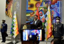 Bolivia reanuda su participación en Unasur, Celac y Alba
