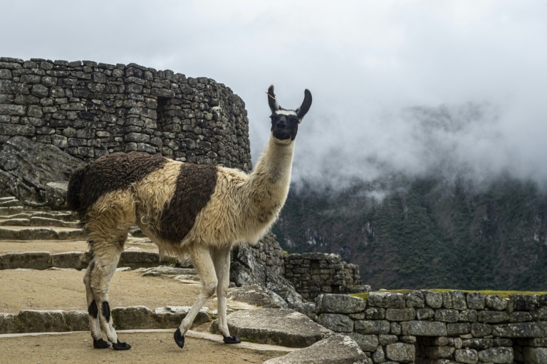 Machu Picchu reabre para el turismo de todo el mundo