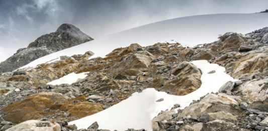 Emergen nuevas formas de vida en último glaciar de Venezuela