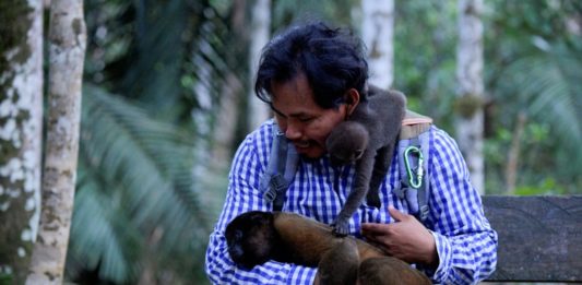 Indígena protege a monos huérfanos por la cacería en el Amazonas